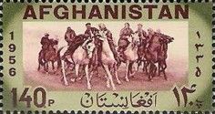 Buzkashi Game, Horse (Equus ferus caballus)