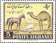 Horse, Sheep and Camel