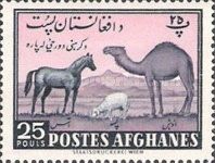 Horse, Sheep and Camel