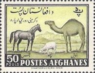 Horse, Sheep and Camel