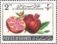 Pomegranate (Punica granatum), overprinted
