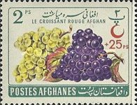 Grapes (Vitis vinifera), overprinted