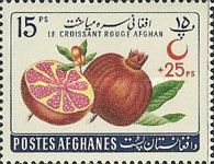 Melons (Cucumis melo), overprinted