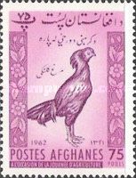 Afghan Rooster (Gallus gallus domesticus)