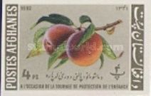 Peaches (Prunus persica)