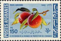 Peaches (Prunus persica)