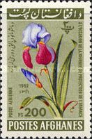 Iris