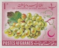 Grapes (Vitis vinifera)