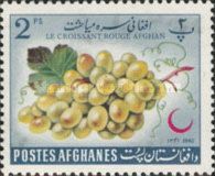 Grapes (Vitis vinifera)