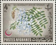 Chinese Wisteria (Wisteria sinensis)