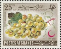 Grapes (Vitis vinifera)