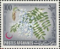 Chinese Wisteria (Wisteria sinensis)