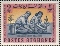 Scouts Planting Trees
