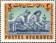 Scouts Planting Trees