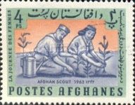 Scouts Planting Trees
