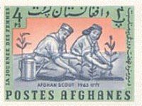 Scouts Planting Trees