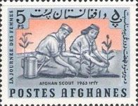 Scouts Planting Trees