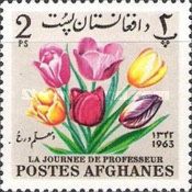 Tulips (Tulipa sp.)