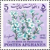 Flax (Linum usitatissimum)