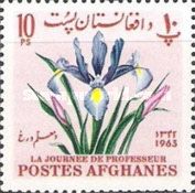 Iris