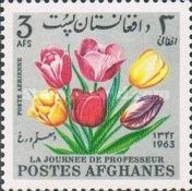 Tulips (Tulipa sp.)