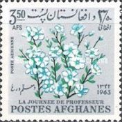 Flax (Linum usitatissimum)