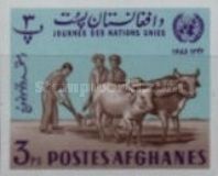 Plowing Fields, Domestic Cattle (Bos taurus)