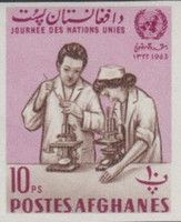 Doctor and nurse