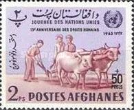 Plowing Fields, Domestic Cattle (Bos taurus) - overprinted