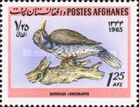 Barrulus lanceolatus
