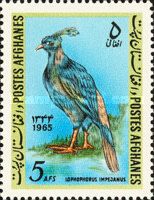 Himalayan Monal (Lophophorus impejanus)