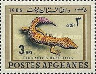 Leopard Gecko (Eublepharis macularius)