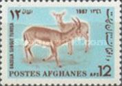 Goitered gazelle (Gazella subgut turosa)