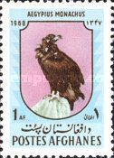 Cinereous Vulture (Aegypius monachus)