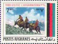 Mountain Transport, Mule (Equus asinusxEquus caballus)