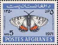 Swallowtail Butterfly (Parnassius autocrator)