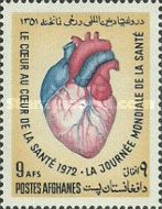 Human Heart