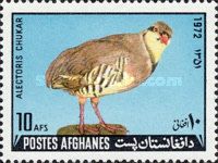 Chukar Partridge (Alectoris chukar)