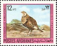 Himalayan Snowcock (Tetraogallus himalayensis)
