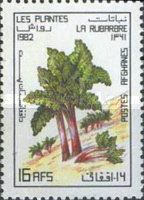 Rhubarb (Rheum rhabarbarum)