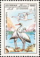 White Stork (Ciconia ciconia)