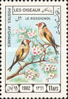 European Goldfinch (Carduelis carduelis)