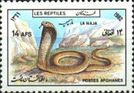 Asian Cobra (Naja naja)
