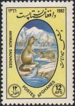 Eurasian Otter: Lutra lutra