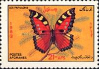 Small Tortoiseshell (Aglais urticae)