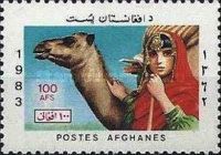 Woman with Dromedary (Camelus dromedarius)