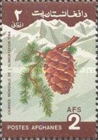 Pine Cone (Pinus sp.)