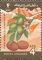 Walnuts (Juglans sp.)