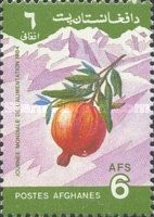 Pomegranate (Punica granatum)