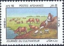 Herder watching over cattle and sheep